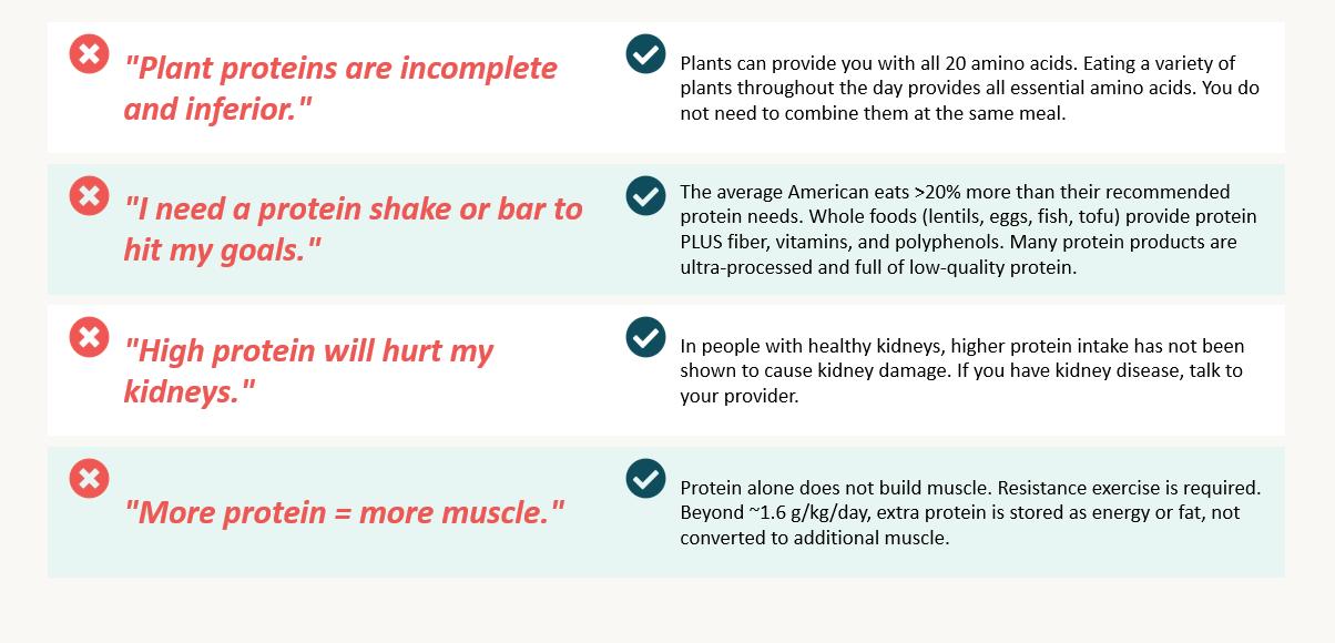 Protein: Myths vs Facts